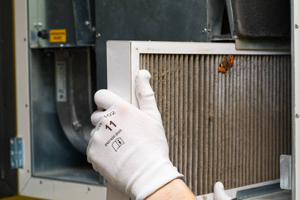 Best Ductwork Cleaning Services  in Sale Creek, TN